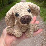 Sunshine : The Golden Retriever Instant PDF Download